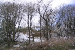 Ostern_2008_44